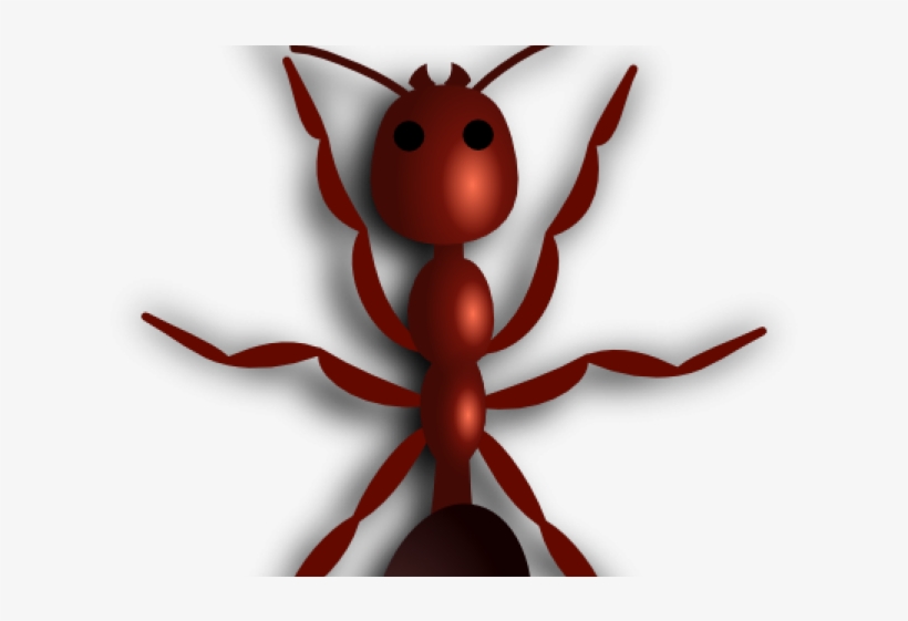 Drawn Ant Fire Ant - Ant Clip Art, transparent png