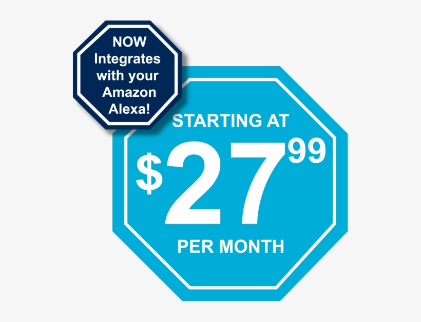 Home Security Systems Company In Tampa, Adt Accredited - Viewsonic Vx3276 2k Mhd Review, transparent png