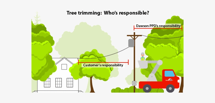 Dawson Ppd Employs Two, Full-time Employees To Help - Tree, transparent png