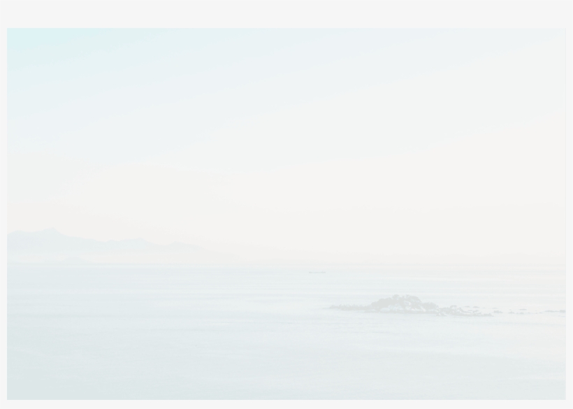 Stay Focused And Remember We Design The Best Wordpress - Food, transparent png