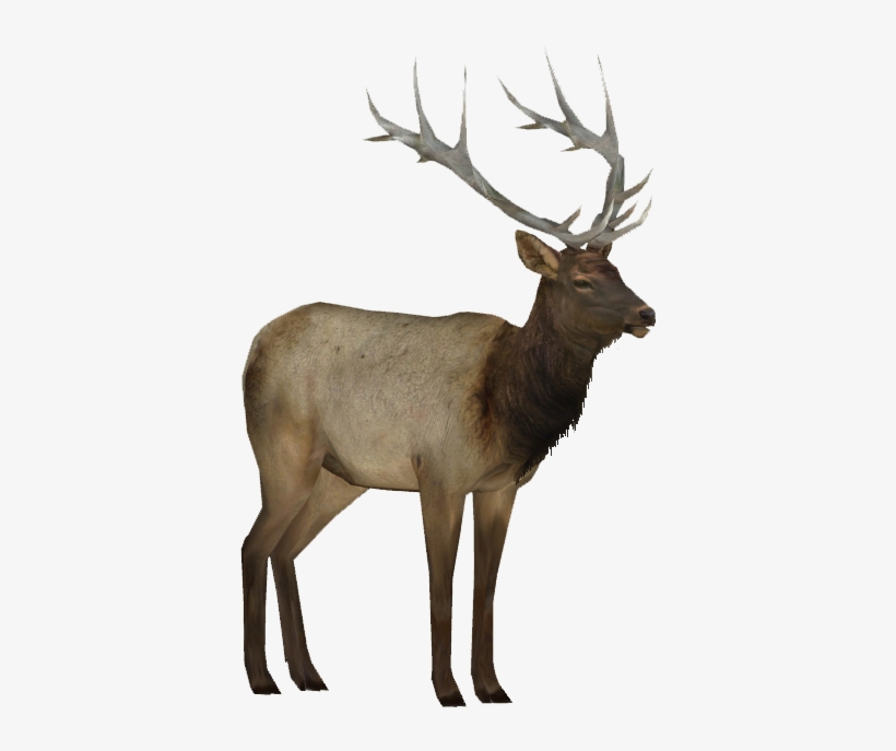 55, January 26, 2015 - Elk Png, transparent png
