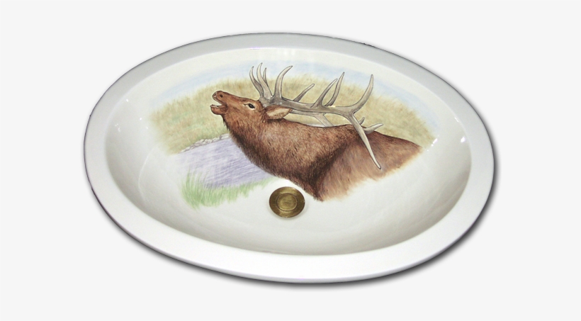 Lbu 48 500 Bull Elk - Elk, transparent png