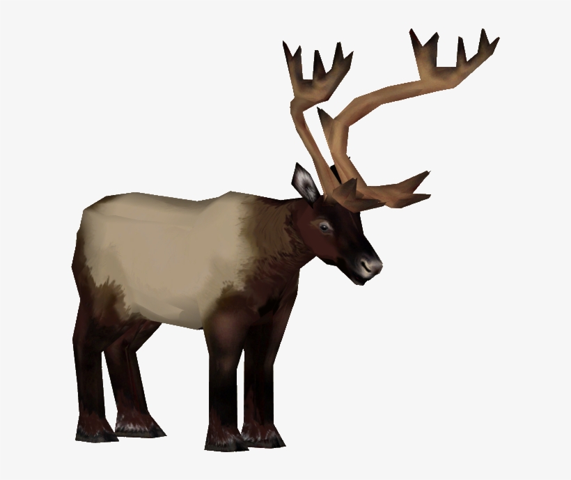 Roosevelt Elk M - Roosevelt Elk, transparent png