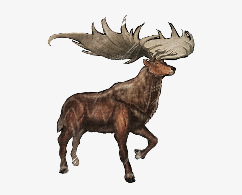 Megaloceros Megaloceros Giganteus - Ark Megaloceros, transparent png