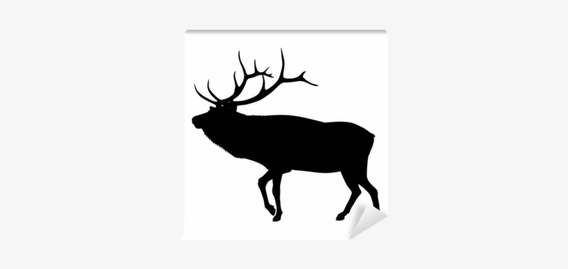 Elk Clip Art, transparent png