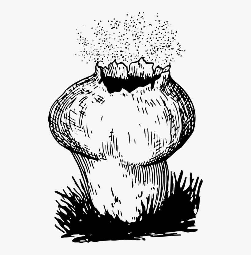Png Black And White Download Fungi Drawing Bleeding - Puffball Clipart, transparent png