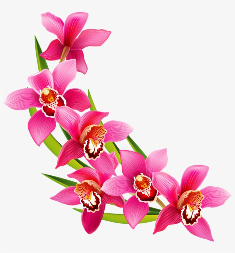 Фотки Flower Art, Flower Prints, Wedding Frames, Clip - Flower Clipart, transparent png