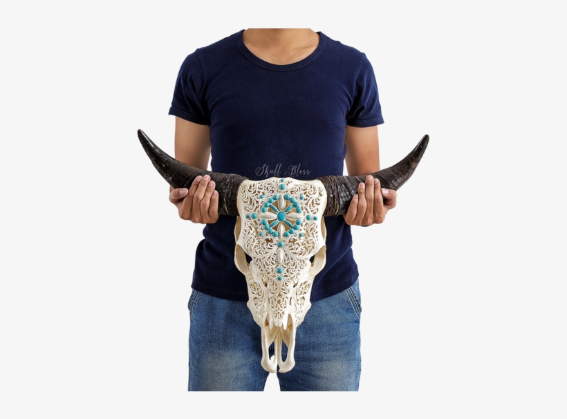 Carved Cow Skull // Xl Horns - Xl Horns, transparent png