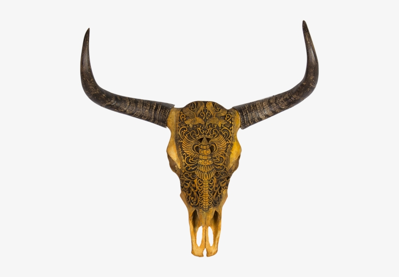 Boho Skull With Antlers Png Banner Transparent Stock - Skull, transparent png