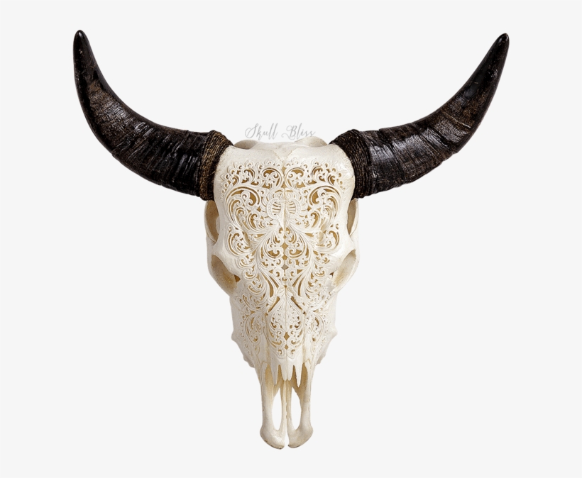 Amazing Carved Cow Skull Xl Horns Flower With Cow Skull - Xl Horns, transparent png