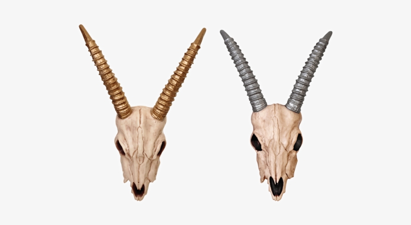 Gazelle Skull-gold/silver - Boneyard Halloween Ram Head With Bronze Horns, transparent png