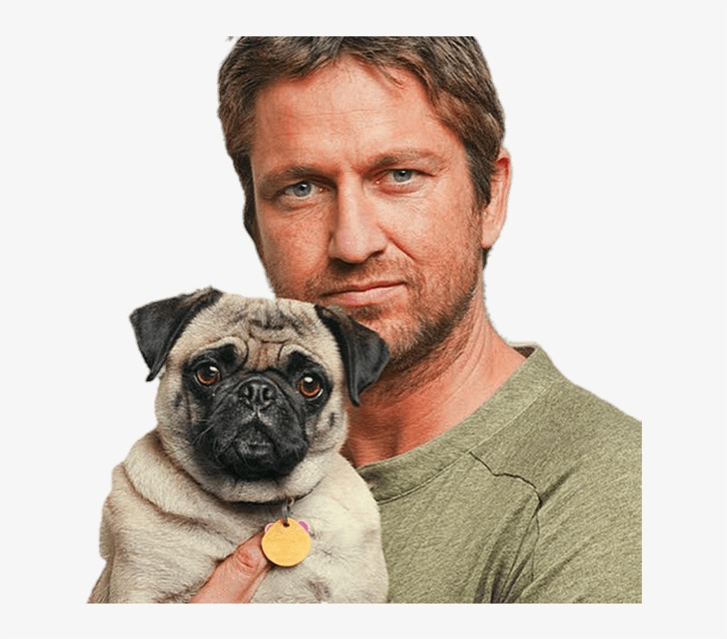 Gerard Butler With Dog Png - Gerard Butler, transparent png