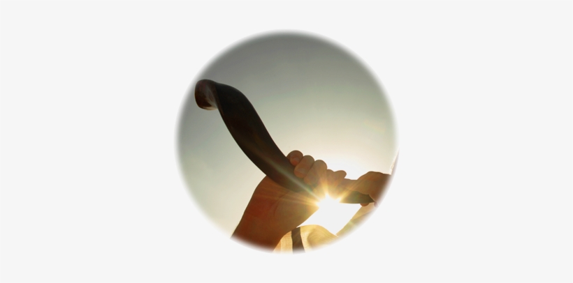 Hay Tres Diferentes Sonidos - Manos Tocando Shofar, transparent png