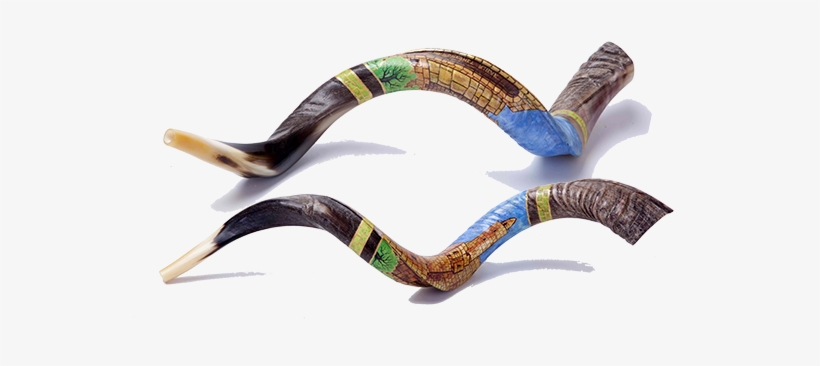 Special Edition Hand Painted - Shofarot, transparent png