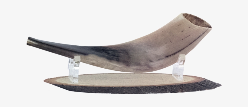 Shofar Wooden With Lucite Stand, Christian, Holy Land, - Shofar, transparent png