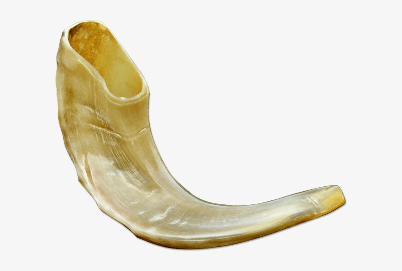 Small Ram Horn Shofar - Shofar, transparent png