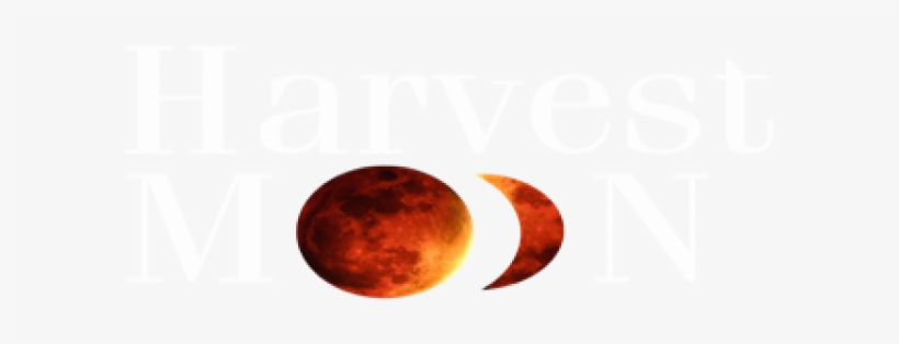 Boutique By Harvest Moon - Moon, transparent png