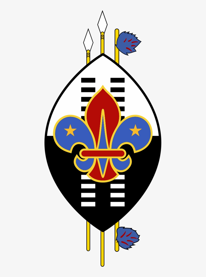 Fileswaziland Boy Scouts Association - Boy Scout Of Niger, transparent png
