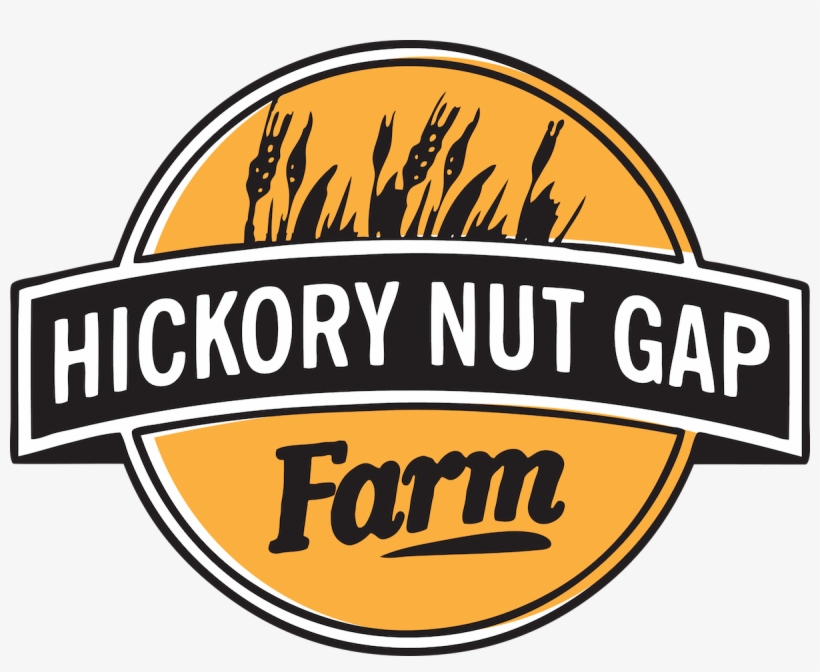 Hickory Nut Gap Meats, transparent png