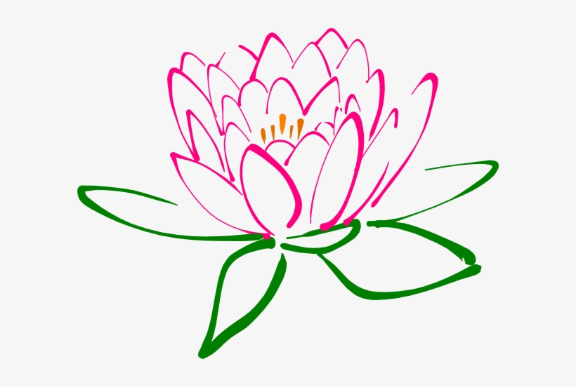 Flower Pink Pencil And In Color Wesley - Lotus Clipart, transparent png