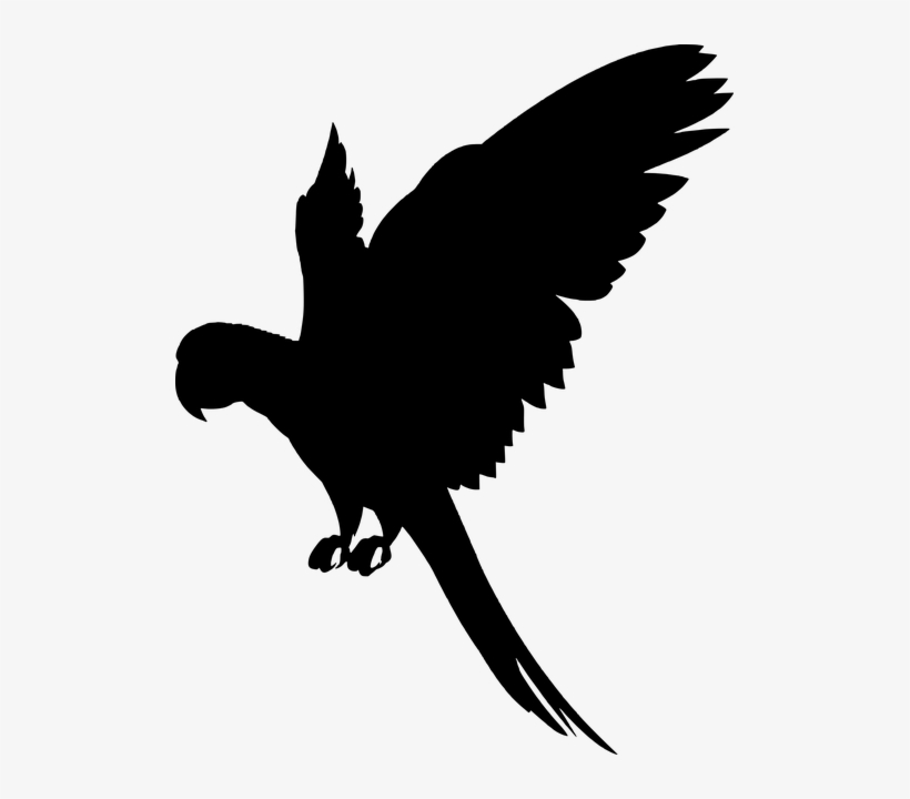Flying Parrot Silhouette, transparent png