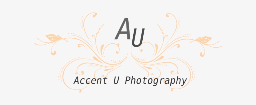 Blue Butterfly Scroll Png Svg Clip Art For Web Download, transparent png