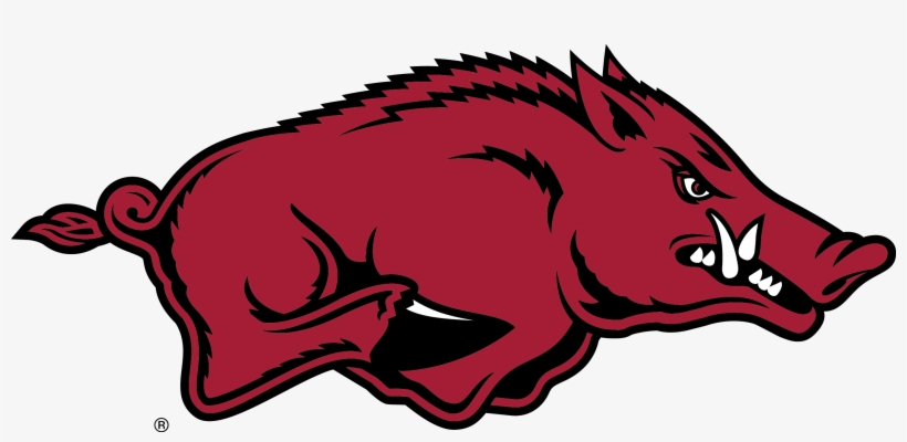 Vertical Divider - Arkansas Razorbacks Printable, transparent png