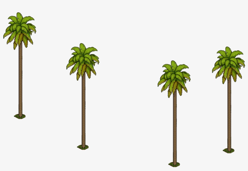 Palmeras - Portable Network Graphics, transparent png