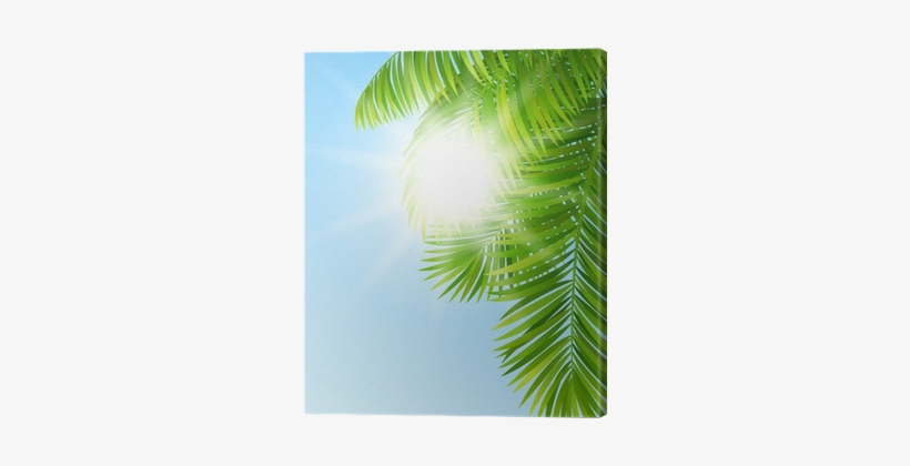 Cuadro En Lienzo Las Ramas De Las Palmeras • Pixers® - Forest, transparent png