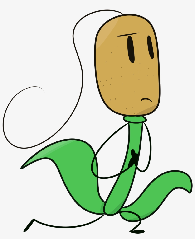 Cattail, transparent png