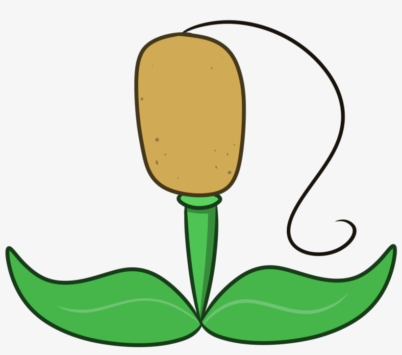 Ast-cattail - Cattail, transparent png