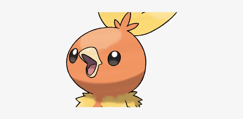Birb Starters, transparent png