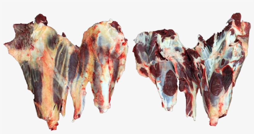 Beef Shin/shank - Shell, transparent png