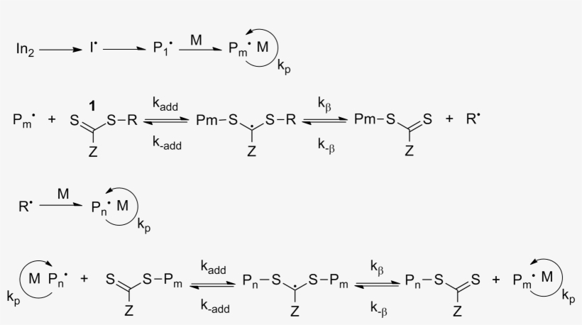 File - Raft - Reversible Addition Fragmentation Chain Transfer Mechanism, transparent png
