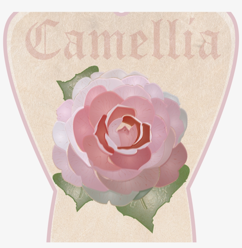 Garden Roses, transparent png