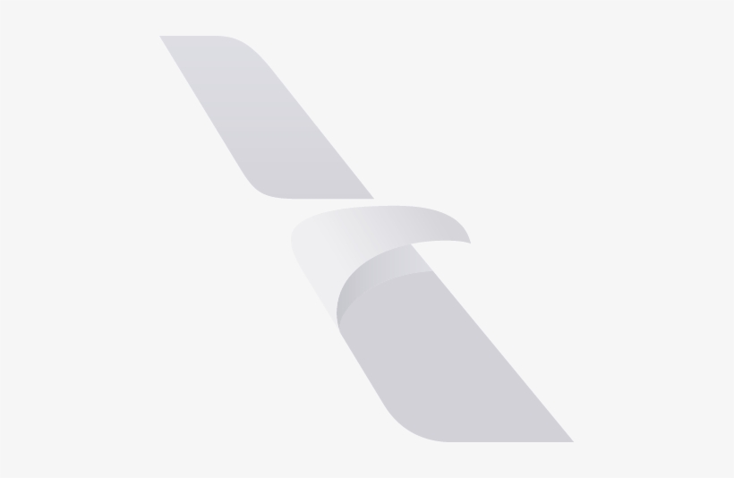 American Airlinespremium Economy Experience - American Airlines White Logo, transparent png