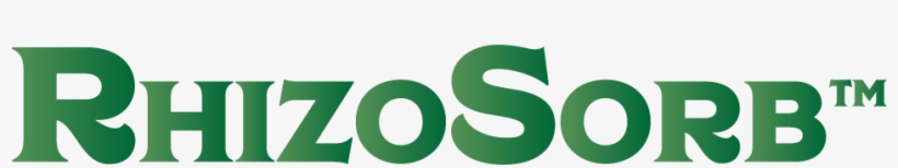 Ken Bachman Liked This - Graphic Design, transparent png