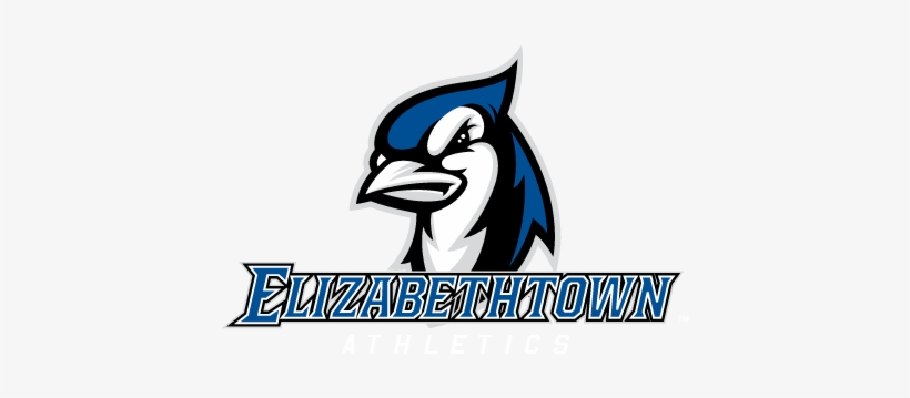 Elizabethtown's Comeback Is Not Enough As Blue Jays - Elizabethtown College Blue Jays, transparent png