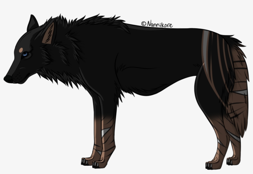 Mataki By Nannikore - Schipperke, transparent png