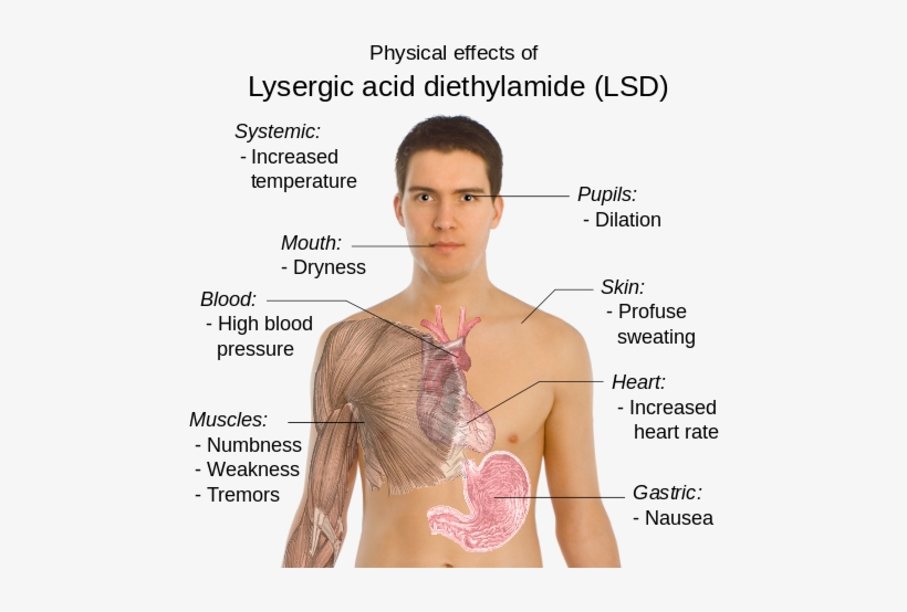Acid Drug Effects, transparent png