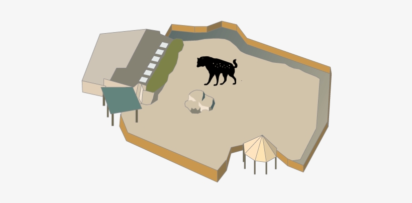 Hyena - Buffalo Zoo Hyenas, transparent png