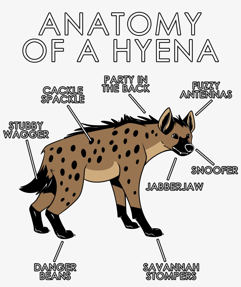 Anatomy Of A Hyena - Hyena Blue, transparent png