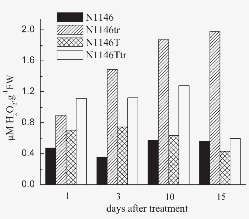 The Effect Of Chlorsulfuron On Hydrogen Peroxide Content - Hydrogen Peroxide, transparent png