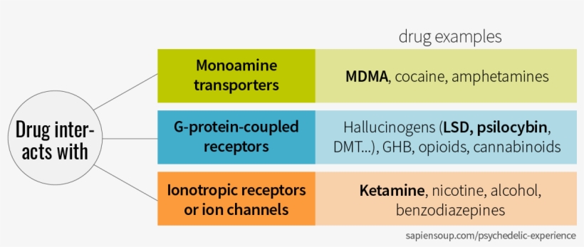 Drugs Classification By Monoamine Transporter, G-protein - Mdma Compared To Lsd, transparent png
