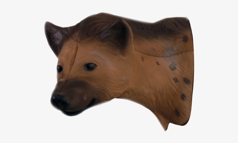 African Hyena Head - Hyena, transparent png