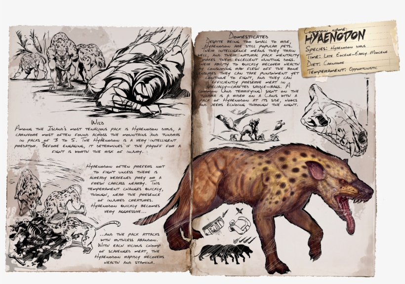 Ok, What The Hell Is The 'pet' Functionality On Te - Ark Hyaenodon, transparent png