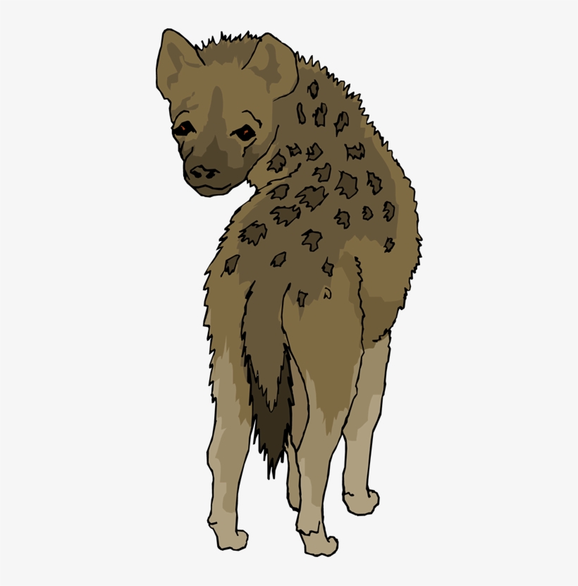 Hyena Png - Kodiak Bear, transparent png