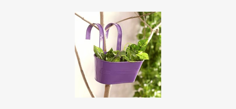 Wall Hanging Plants - Railing Pots, transparent png