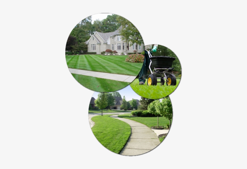Lawn Services Png, transparent png