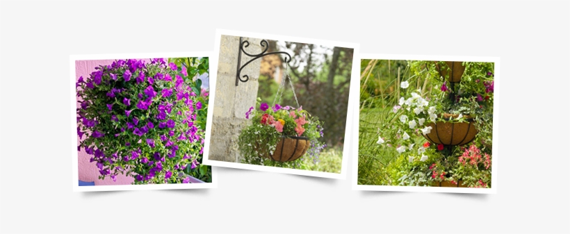 Hanging Garden - Gardman 3 Tier Georgian Flower Fountain Garden Planter, transparent png